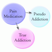 Pseudoaddiction - More Info For The Painies